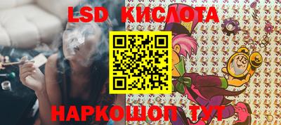 шишки Славгород