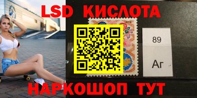 шишки Славгород