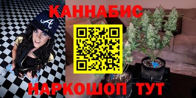шишки Славгород