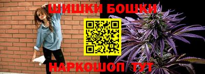 шишки Славгород