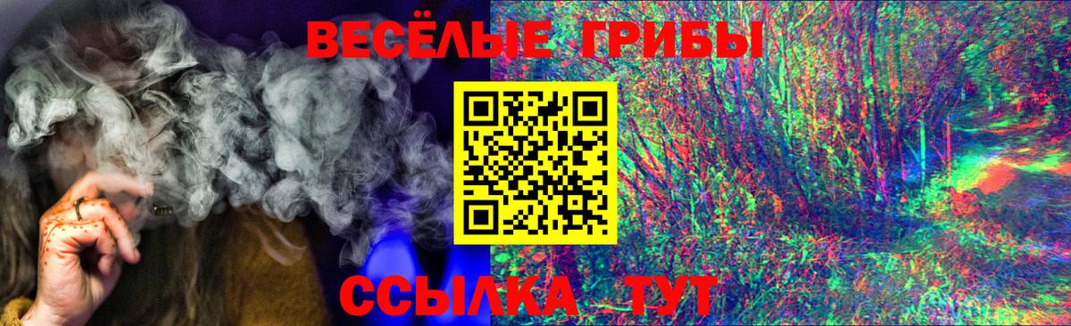 Псилоцибиновые грибы прущие грибы Астрахань