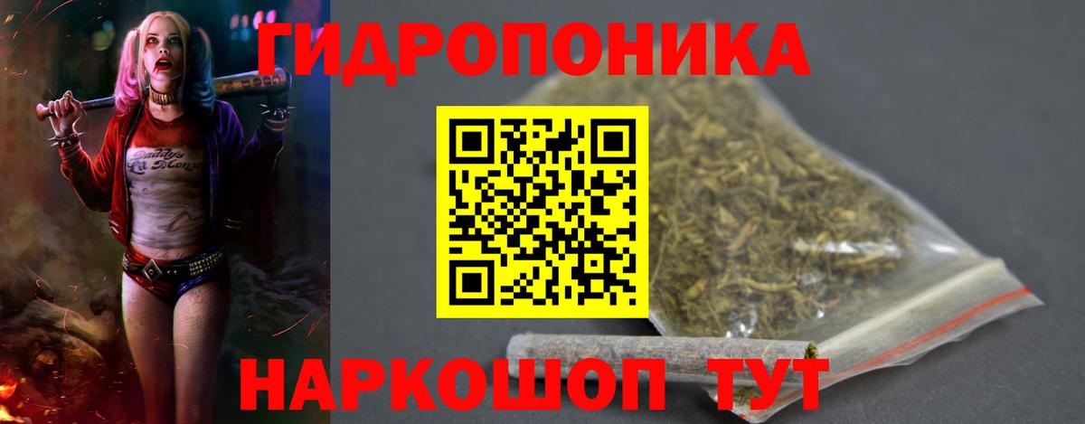 Конопля Bruce Banner Астрахань